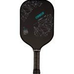 Pickle Bat Carbon ARC