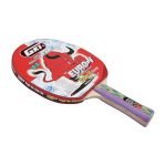 GKI Euro V Table Tennis Bat